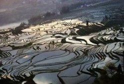 1024国产基地,引领科技潮流的国产创新力量