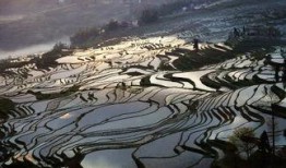 1024国产基地,引领科技潮流的国产创新力量