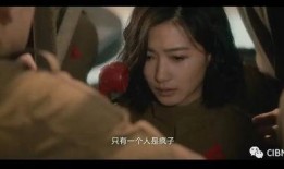 国产逼,创新驱动下的中国制造新篇章