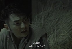 国产三级影片,国产三级影片的激情演绎