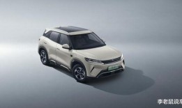 国产A级毛,匠心独运，引领时尚潮流