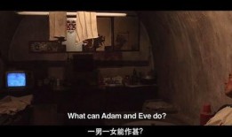 国产老人性视频在线,揭秘老年生活新视角